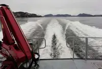 Arbetsbåtar till salu