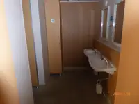 Färja till salu