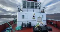 Bogserbåt till salu