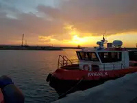 Arbetsbåtar till salu