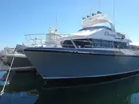 Arbetsbåtar till salu