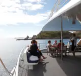 Katamaran till salu