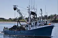 Purse seiner till salu