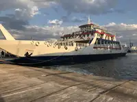 Ro-Ro ship till salu