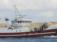 Trålare till salu