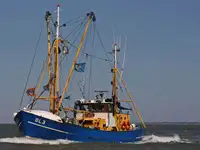 Trålare till salu
