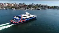 Katamaran till salu
