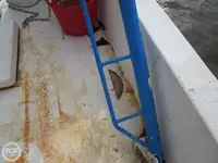 Trålare till salu