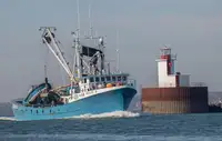 Purse seiner till salu