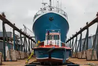 Purse seiner till salu