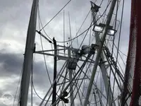 Trålare till salu