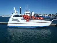 Landstigningsfarkost, Tank till salu