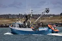 Purse seiner till salu