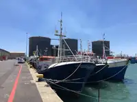 Longliner till salu