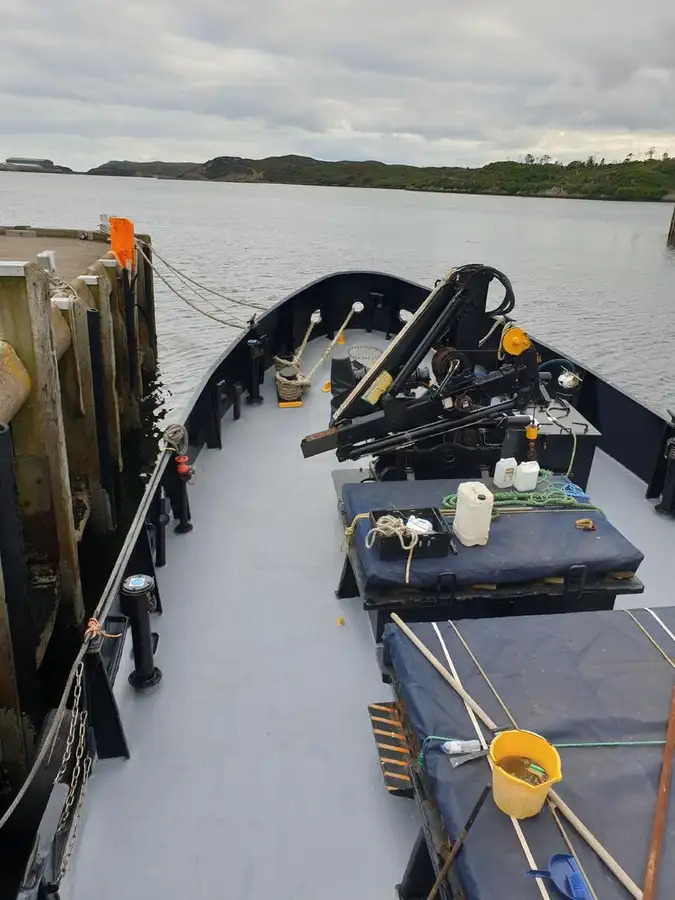 Kryssningsfartyg till salu