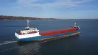 Bulkfartyg till salu