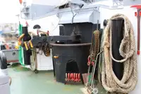 Bogserbåt till salu