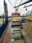 Trålare till salu