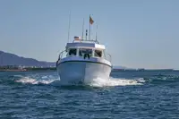 Färja till salu