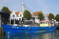 Trawler till salu