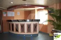 Ro-Ro ship till salu