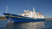 Kryssningsfartyg till salu