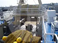 Levande fisktransportfartyg till salu
