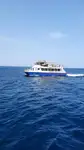 Katamaran till salu