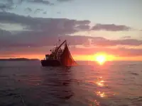 Trålare till salu