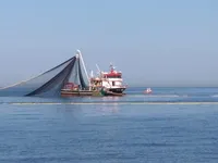 Fiskefartyg till salu