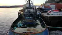 Bogserbåt till salu
