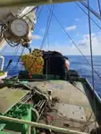 Purse seiner till salu