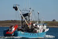 Purse seiner till salu
