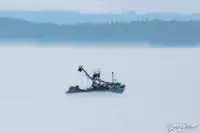 Purse seiner till salu