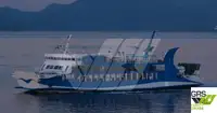 Ro-Ro ship till salu