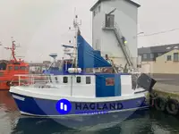 Levande fiskbärare till salu