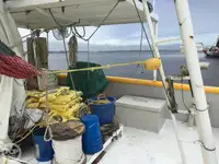 Trålare till salu