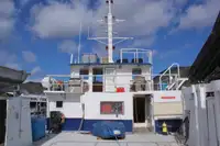 Katamaran till salu