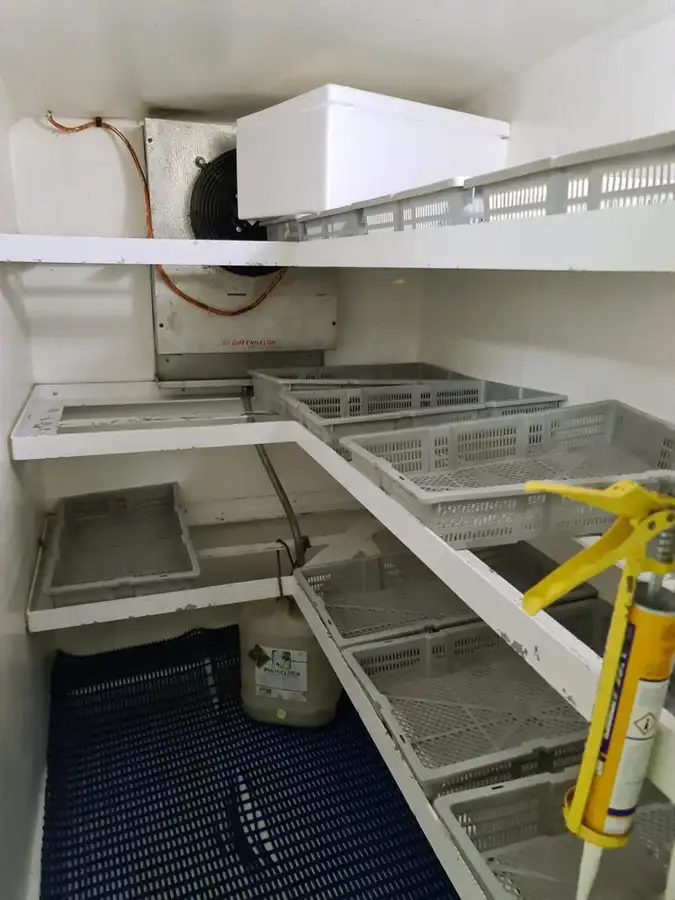 Långrevsfartyg till salu