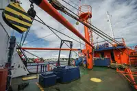 Containerskepp till salu