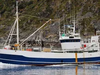Trålare till salu