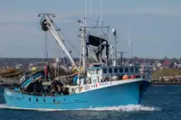Purse seiner till salu