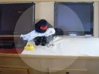 Trålare till salu