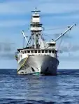 Purse seiner till salu