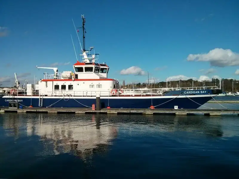 Katamaran till salu