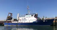 Arbetsbåtar till salu