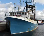 Purse seiner till salu