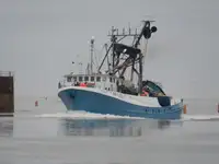 Purse seiner till salu