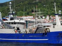 Purse seiner till salu