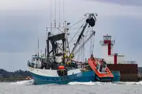 Purse seiner till salu
